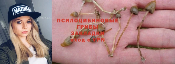 не бодяженный Россошь