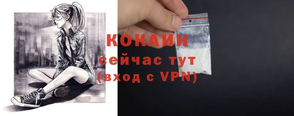 прущие крисы Рославль